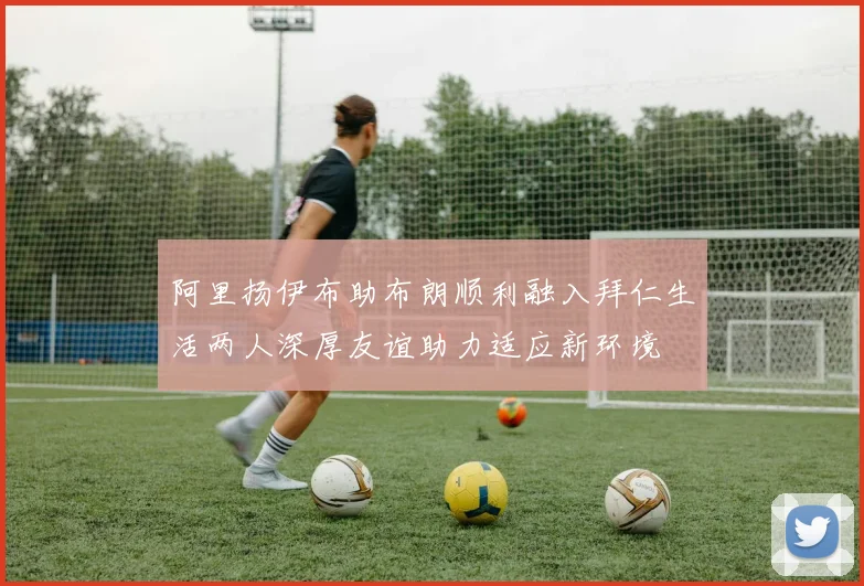 阿里扬伊布助布朗顺利融入拜仁生活两人深厚友谊助力适应新环境